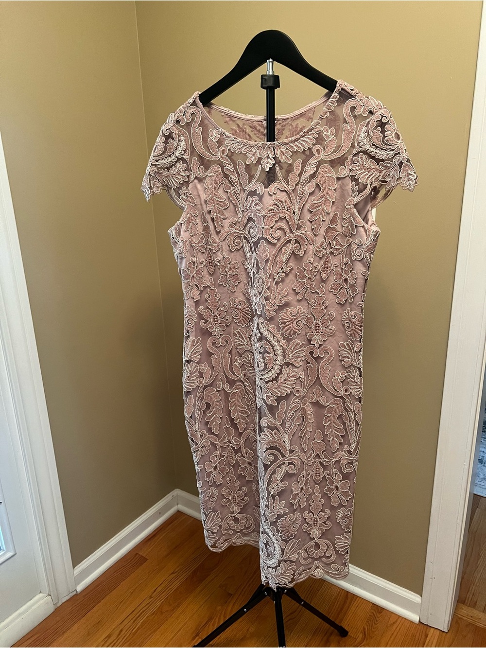 Alex Evenings Blush Pink Lace Appliqué Midi Dress
